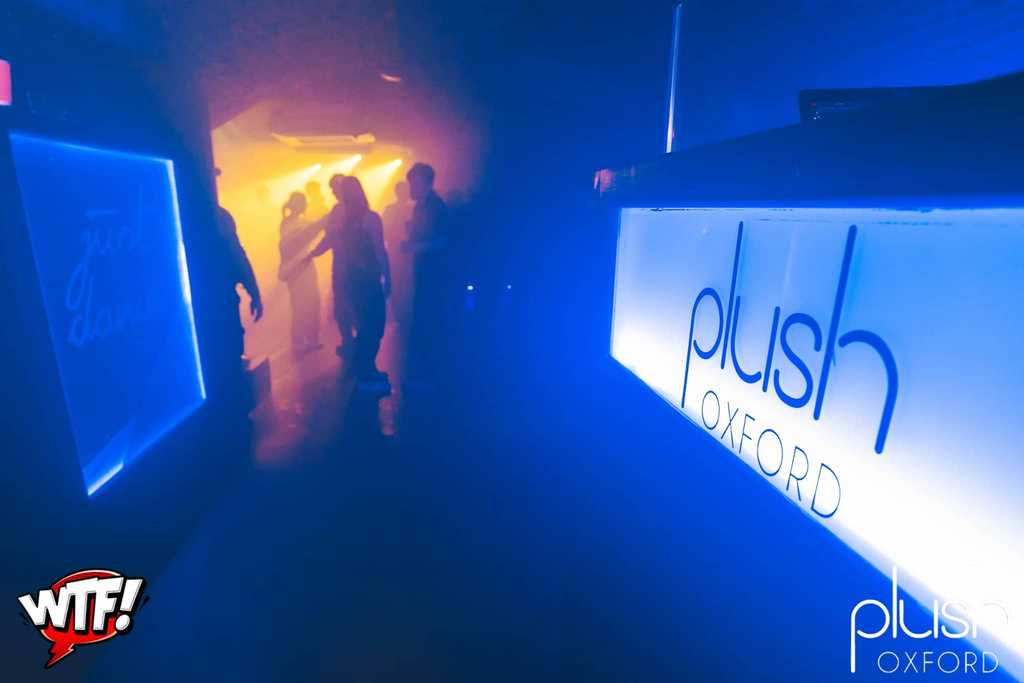 Gallery Plush Oxford